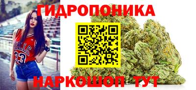 спайс Обь