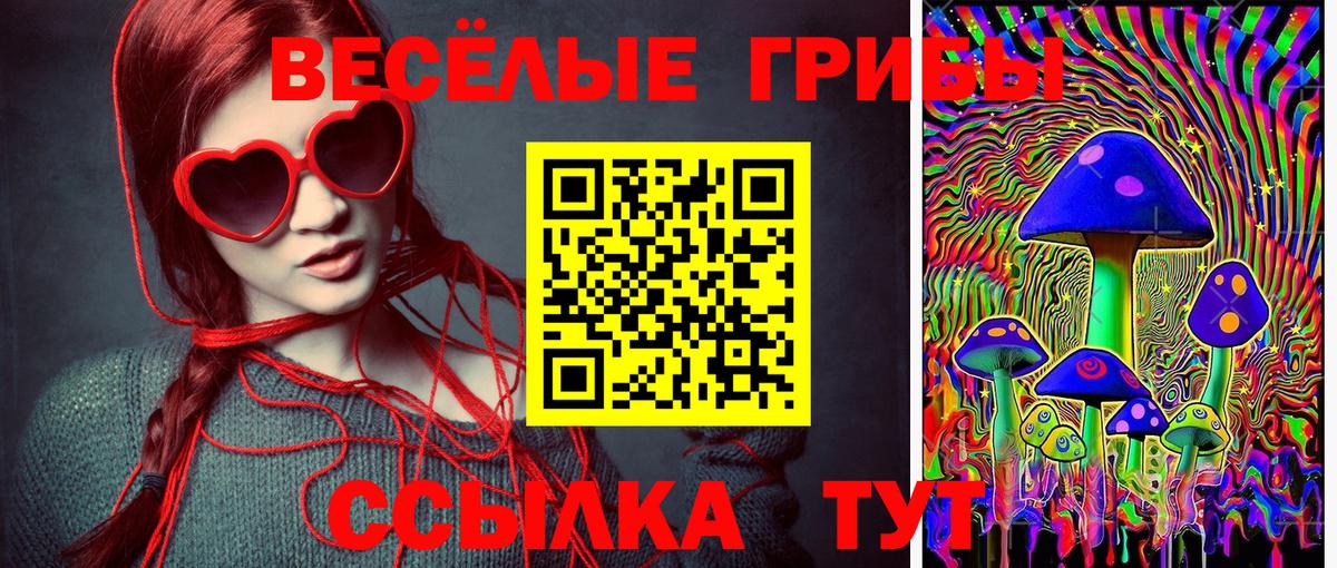 Галлюциногенные грибы Cubensis Электросталь