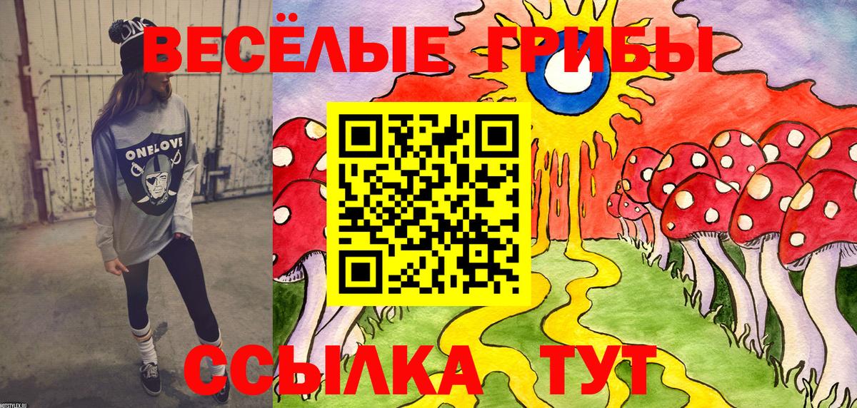 Электросталь  Псилоцибиновые грибы MAGIC MUSHROOMS  Вход с VPN 